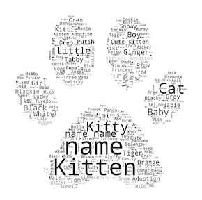 cat word cloud