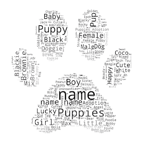 dog word cloud